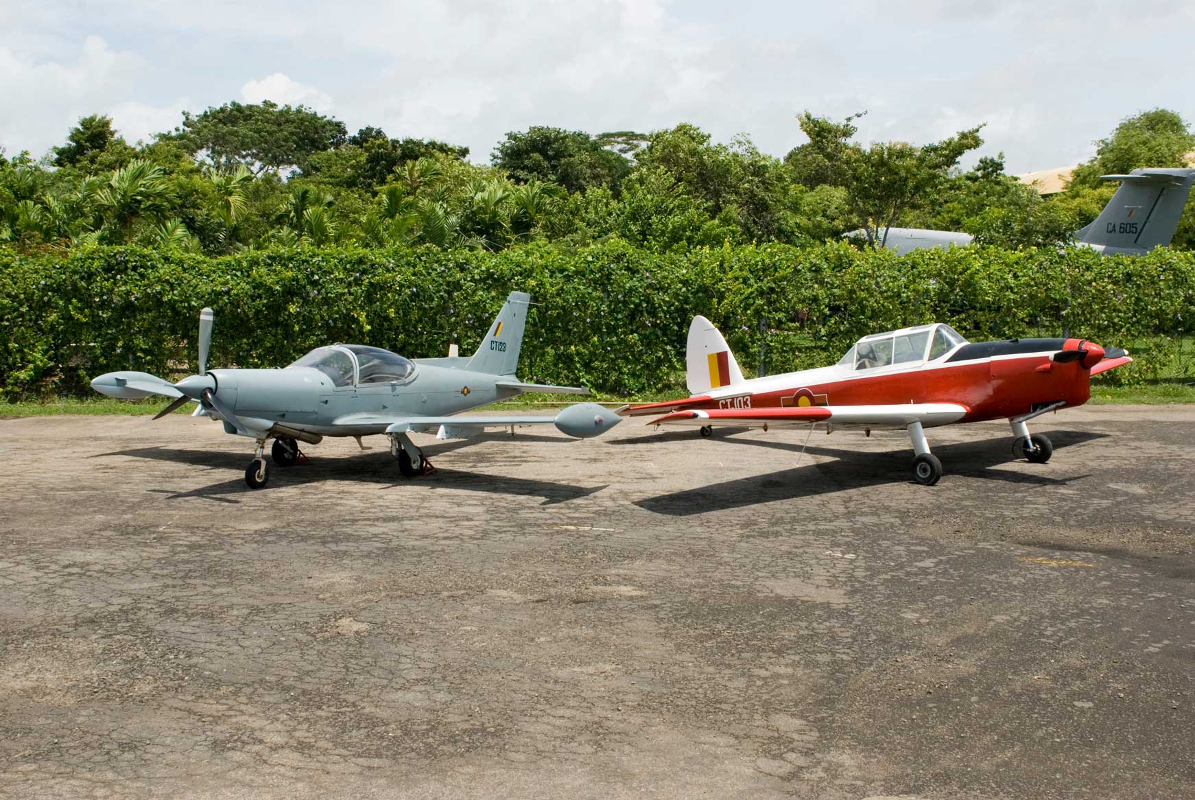Museum Exhibits