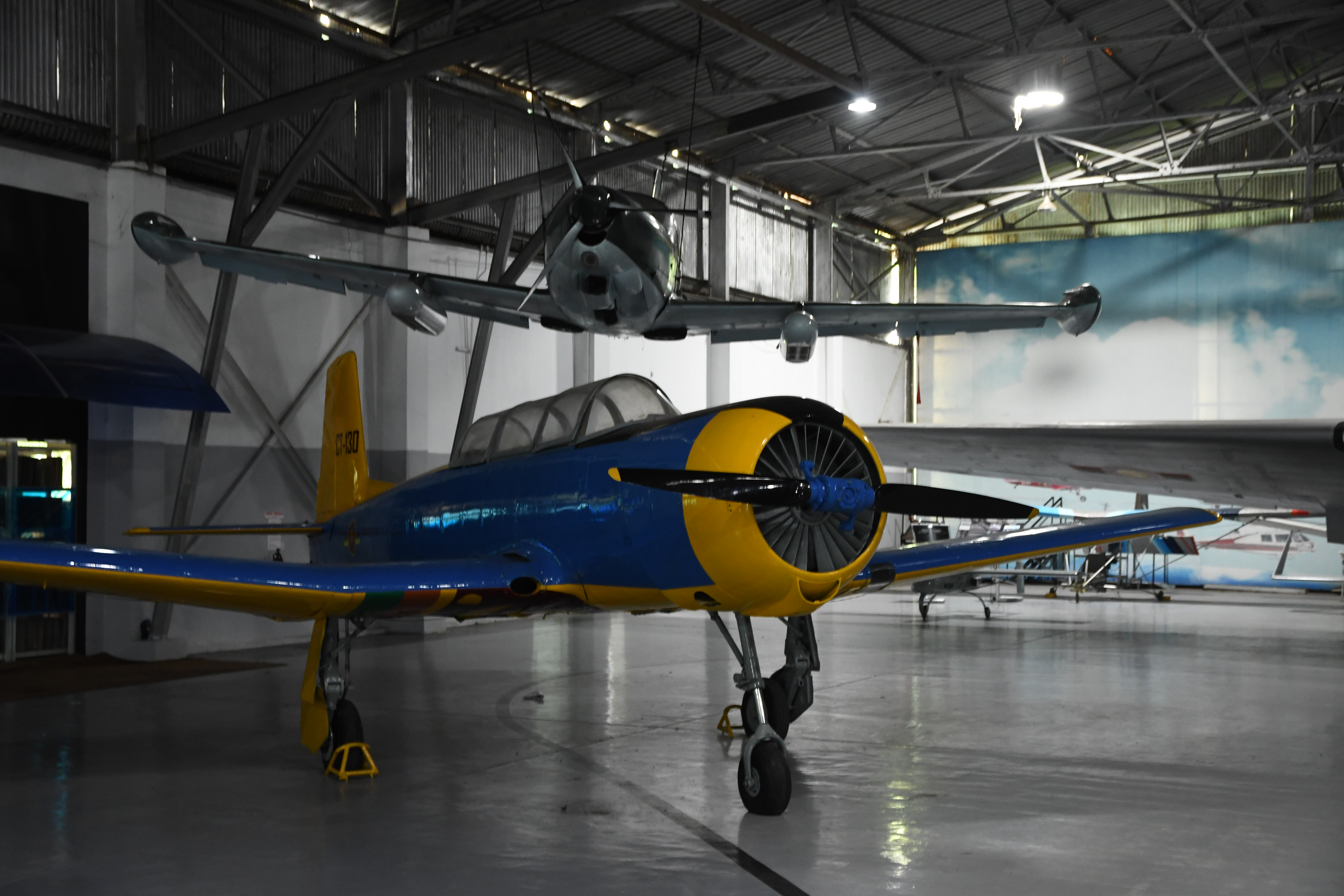 Museum Exhibits